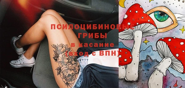 ГАЛЛЮЦИНОГЕННЫЕ ГРИБЫ Алзамай