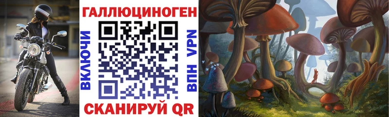 купить наркоту  это наркотические препараты  Галлюциногенные грибы прущие грибы  Новая Ляля 